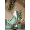 Tipi telgid