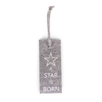 star is born.jpg
