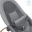 maxi-cosi_dove_pro_2230158110_elegance_graphite_12_.jpg