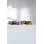 575582-alle-farben-master-frontbild_1920.jpeg