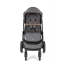 pushchairs-joie-thunder-joie-honour-pushchair-thunder-130916-83727.jpg