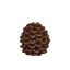 Uyuni_pinecone_brown.jpg