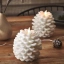 Uyuni_pinecone_nordicwhite.webp