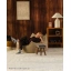Biscuit_Club_Chair_lifestyle_1.webp