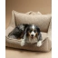 DSCF7868_1.webp
