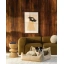 DSCF8144_1.webp