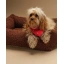 DSCF7779_1.webp
