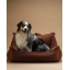 DSCF7853_1.webp