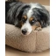 DSCF7906_1.webp
