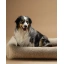 DSCF7918_1.webp