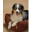 DSCF7958_1.webp
