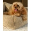 biscuit_pet_snuggle_bed_M_lifestyle_1.webp