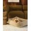 biscuit_pet_snuggle_bed_M_lifestyle_4.webp