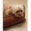 warm_hazel_pet_club_chair_M_liefstyle_4.webp