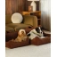 warm_hazel_pet_club_chair_M_liefstyle_5.webp