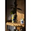 Arabia_Paratiisi_vase_18cm_Autumn_2021_1059709_1_Paratiisi_jar_043L_with_lid_1005595_TIF.jpg