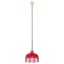 1001419_Kids_Rake_1.jpg