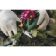 1051602_Garden_Action_Solid_Snip_pruning_shears_SP15_4.jpg