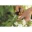 1051602_Garden_Action_Solid_Snip_pruning_shears_SP15_5.jpg