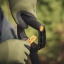 1066732_1066733_1066734_Fiskars_Xact_Telescopic_handle_action_01_1x1.jpg