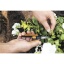 111081_Solid_Snip_kaarid_mikrotip_SP13_action.jpg