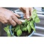 Fiskars_Garden_Action_Herb_snips_SP220_1063326-1.jpg