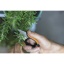 Fiskars_Garden_Action_Herb_snips_SP220_1063326-3.jpg