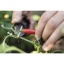 Fiskars_Garden_Action_Herb_snips_SP220_1063326-4.jpg