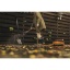 Fiskars_Garden_Action_Watering_Rinsing_The_Spade_Waterwheel_1023643_1023644.jpg