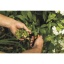 Garden_Action_Solid_Snip_pruning_microtip_SP13_1051600-3.jpg