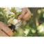Garden_Action_Solid_Snip_pruning_microtip_SP13_1051600-5.jpg