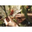 Gardening_Action_Folding_produce_knife_340140_01.jpg