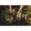 Gardening_Action_Harvest_basket_340100_03.jpg