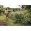 Watering_Action_Solid_Waterwheel_1057237_1057238_3.jpg