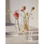 Iittala_2023_Aalto-Collection_vase250mm_vase95mm1.jpg