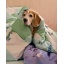 MoominArabia_2023_textiles_snorkmaiden_snufkin_bedsheets_4.jpg