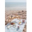 MoominArabia_2025_BeachDay_4.jpg