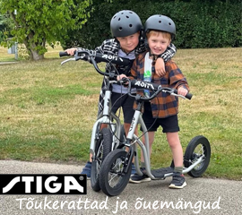 Stiga-03-26-270.jpg (73 KB)