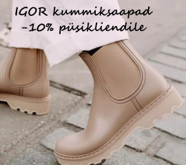 igor_1.png (91 KB)